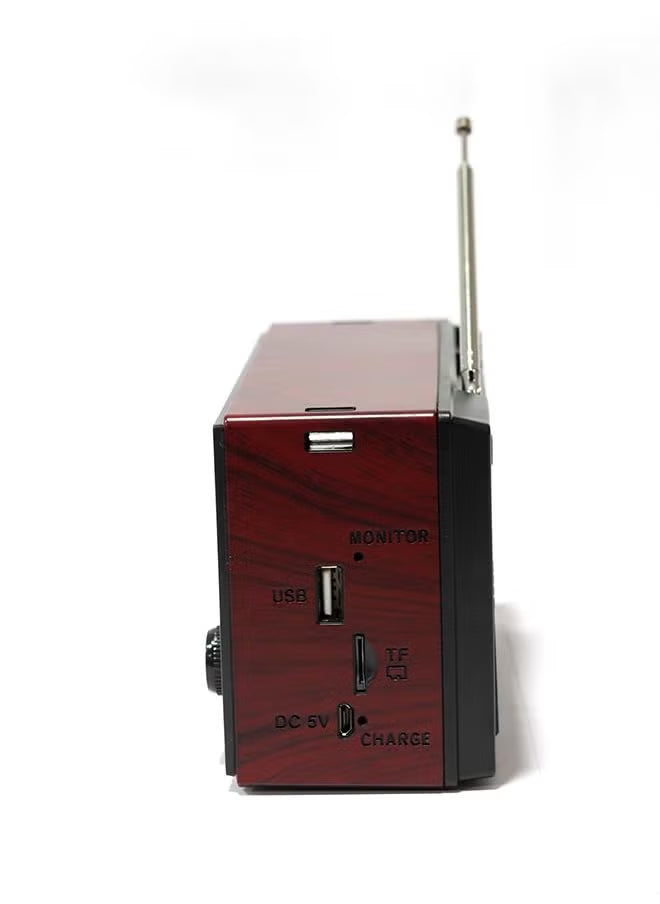 Portable Radio Speaker Microdigit Md012R