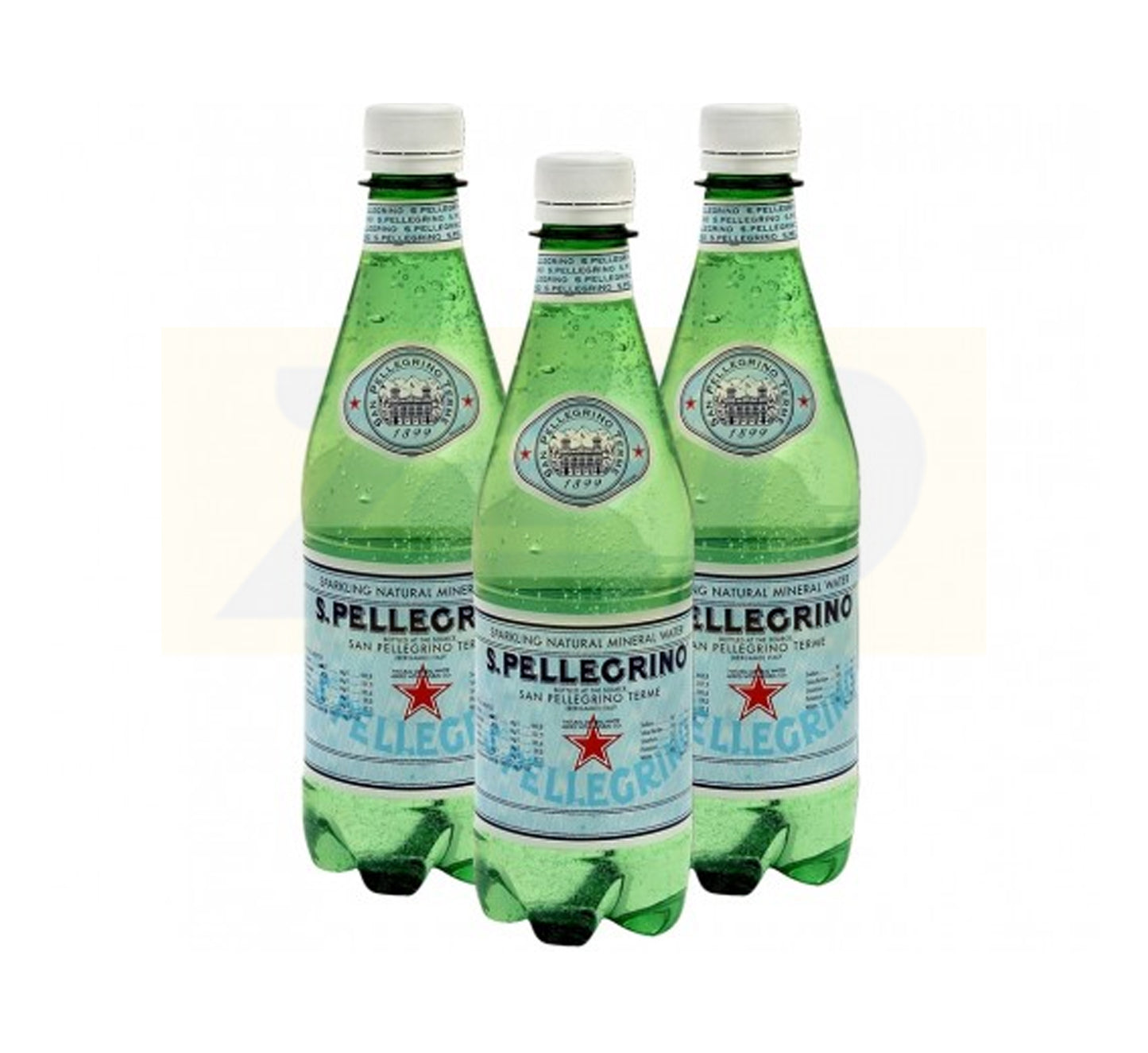 San Pellegrino Sparkling Natural Mineral Water in PET Bottle 24 x 330 ml