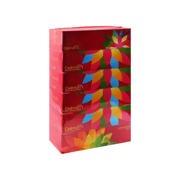 Delmon rainbow Facial Tissue Laxury 6 x150sheetsx 6BNDL