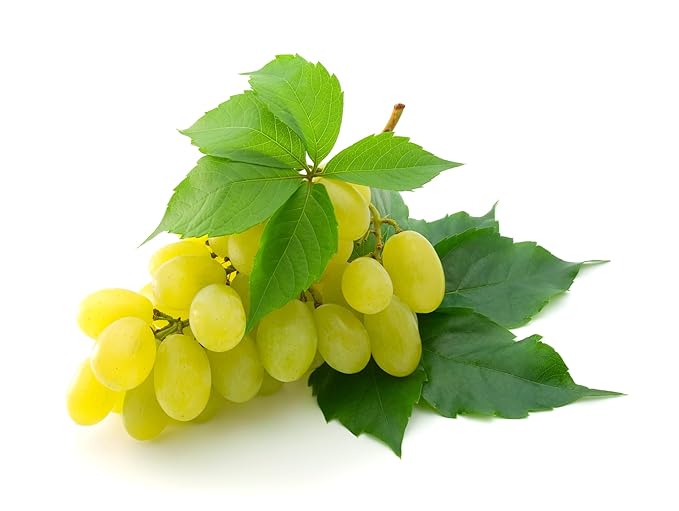 Grapes Green Seedless 500gm pkt
