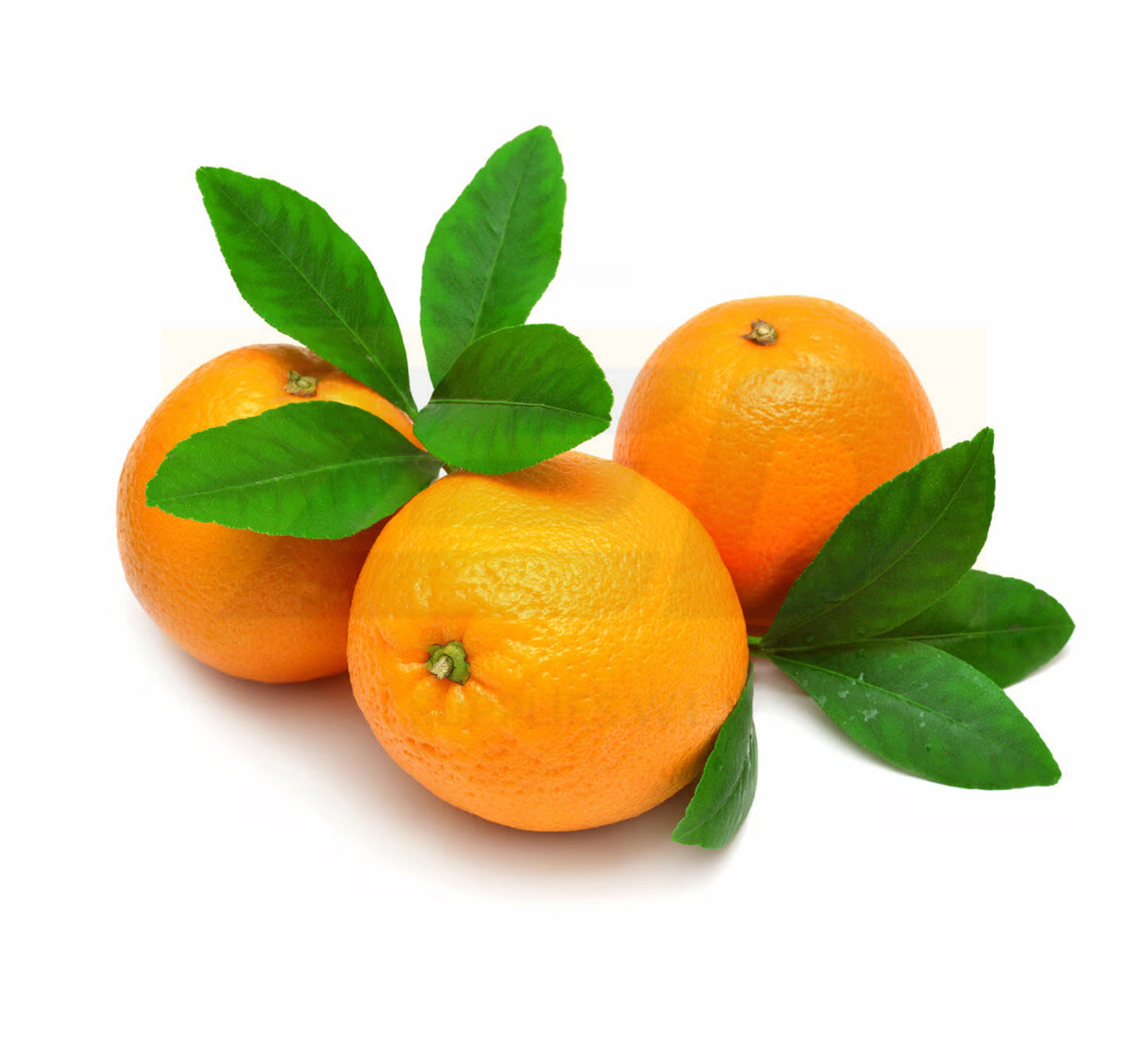 Orange Navel Egypt 1 kg