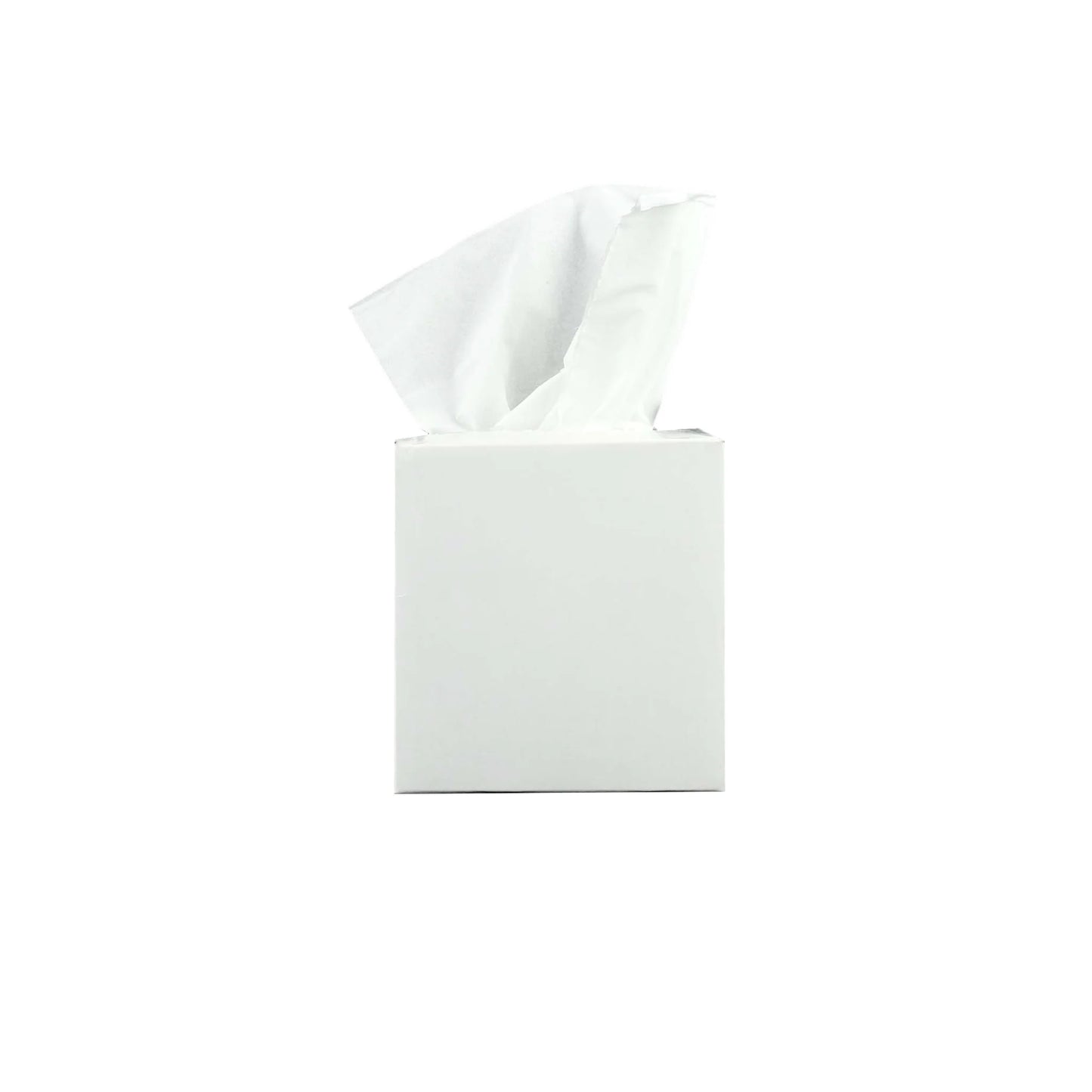 Plain White Tissue 100s x 2Ply x 36 Boxes