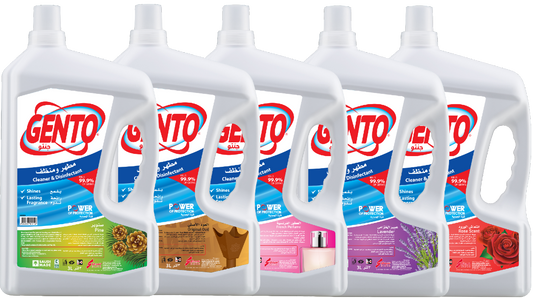 Gento Cleaner & Disinfectant Camphor 3 Litre